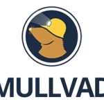 Mullvad VPN 2023.2 With Activation Key 2023 Free Download