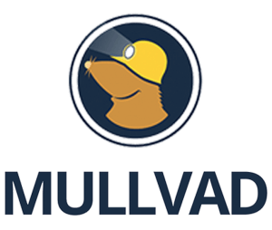 Mullvad VPN 2023.2 With Activation Key 2023 Free Download
